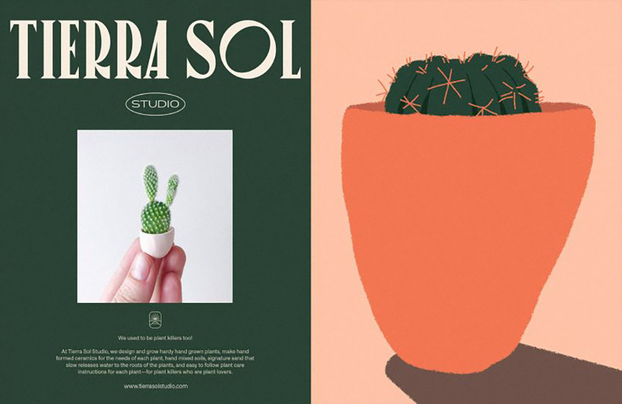 Nature-Inspired Branding: Tierra Sol by Menta Picante