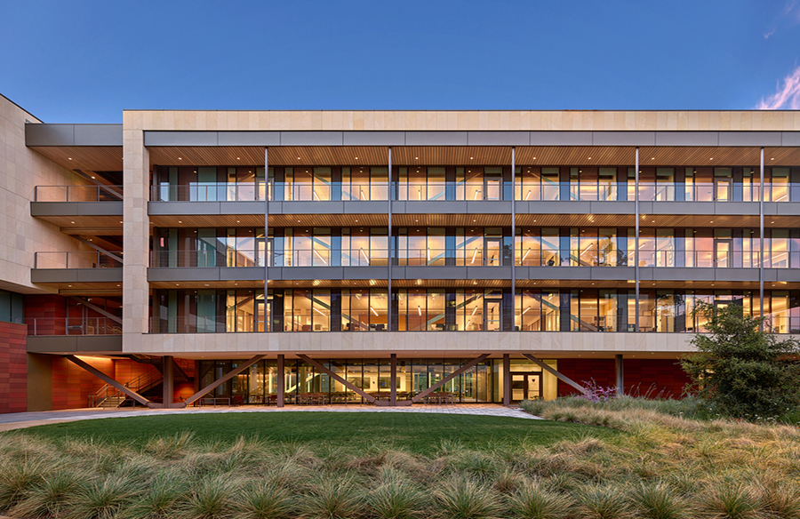 Creating a Haven Stanford Center for Academic Medicine
