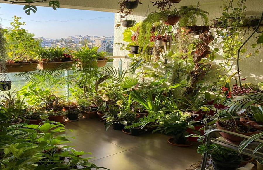Unleashing Nature: 20 Balcony Garden Ideas for Every Home